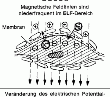 3d pulsierende Magnetfeldtherapie - Naturpraxis Rüther in Paderborn