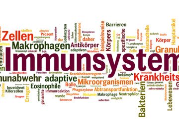 Immunsystem - Naturpraxis Rüther in Paderborn