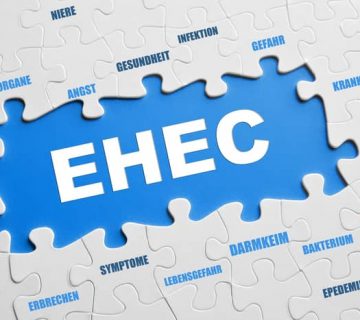 Enterohaemorrhagische-Escherichia-coli EHEC